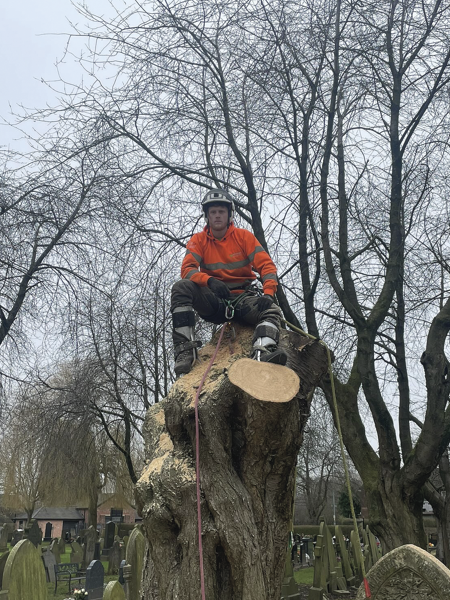 NorthernArb Tree Services
